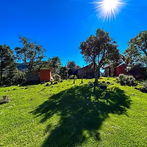 https://chale-das-araucarias.santa-catarina-brasil.com